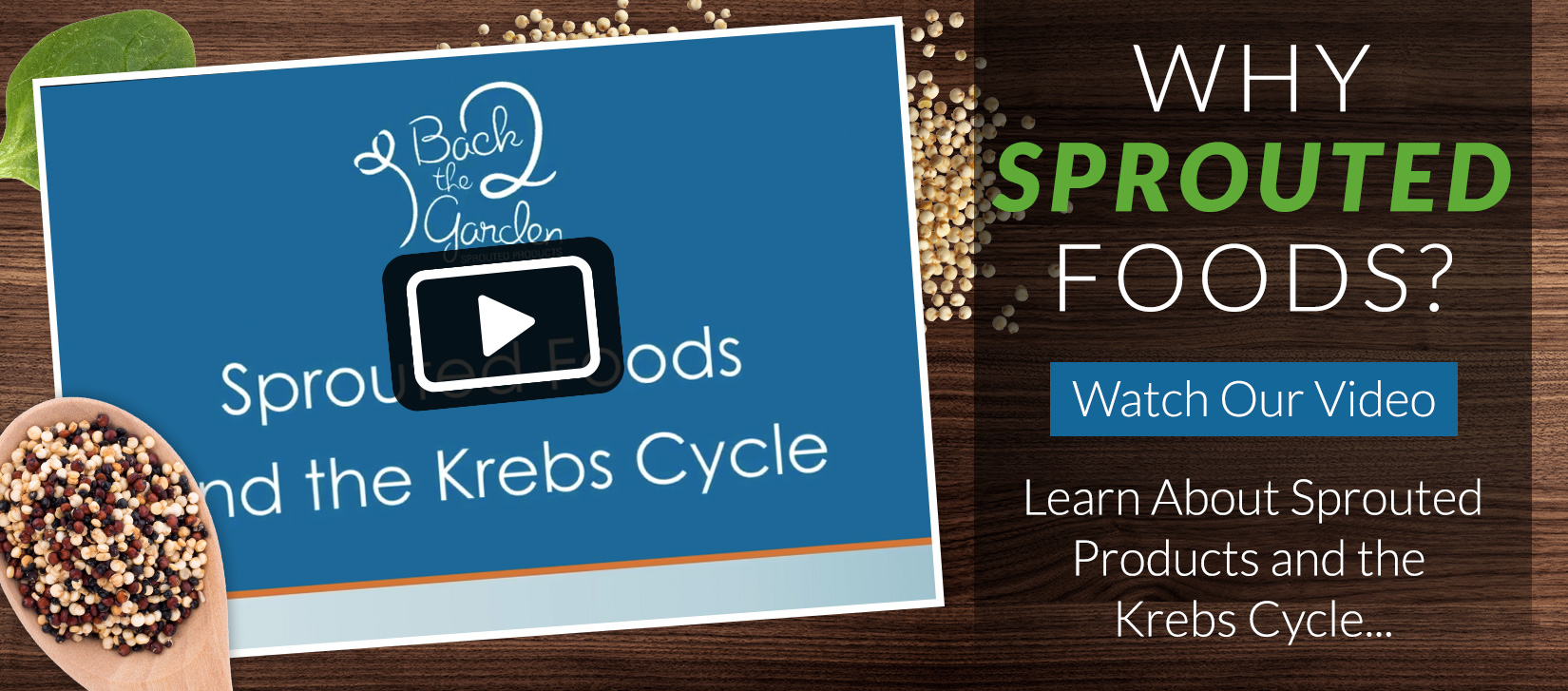 Learn About Sprouted Foods